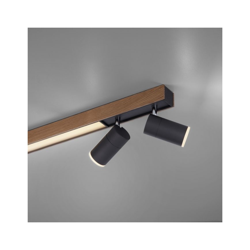 Paul Neuhaus 6121-79 - Foco LED regulable PURE 4xLED/4W/230V + LED/9W 2700-5000K + control remoto