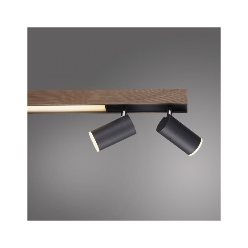 Paul Neuhaus 6121-79 - Foco LED regulable PURE 4xLED/4W/230V + LED/9W 2700-5000K + control remoto