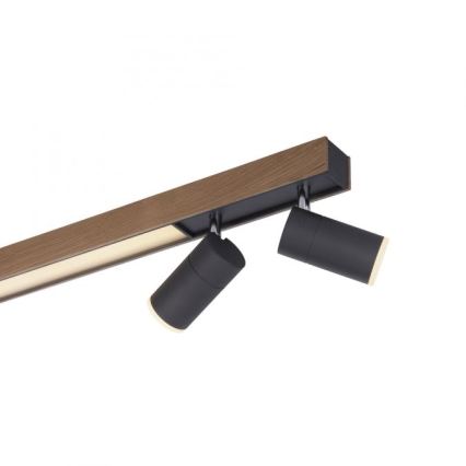 Paul Neuhaus 6121-79 - Foco LED regulable PURE 4xLED/4W/230V + LED/9W 2700-5000K + control remoto