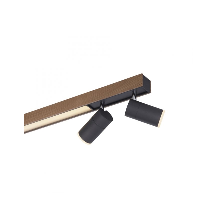 Paul Neuhaus 6121-79 - Foco LED regulable PURE 4xLED/4W/230V + LED/9W 2700-5000K + control remoto