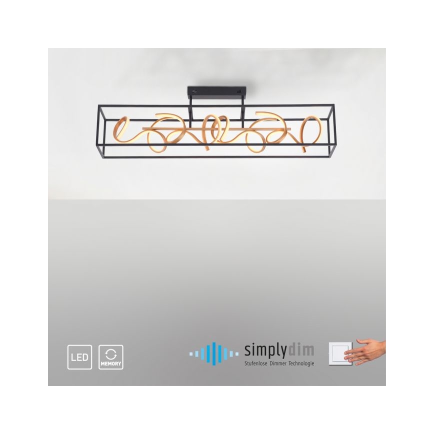 Paul Neuhaus 6473-18 - LED Lámpara colgante regulable SELINA 4xLED/10,2W/230V