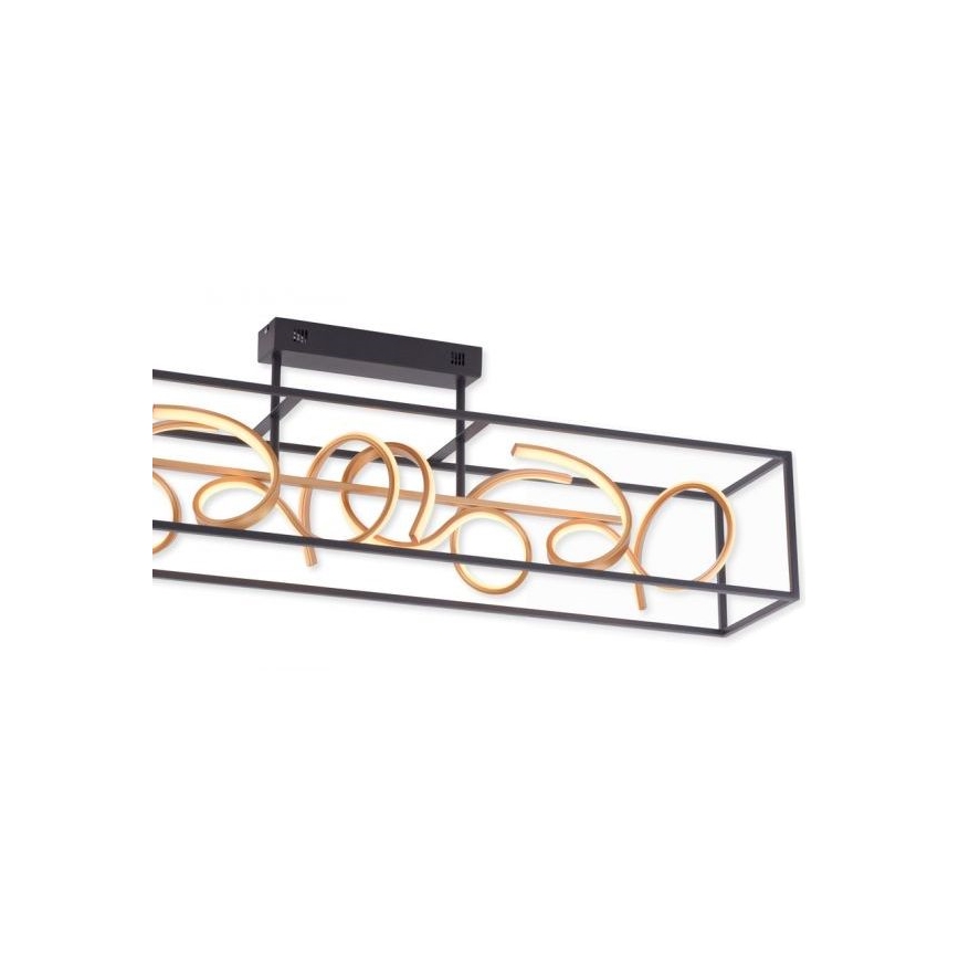 Paul Neuhaus 6473-18 - LED Lámpara colgante regulable SELINA 4xLED/10,2W/230V