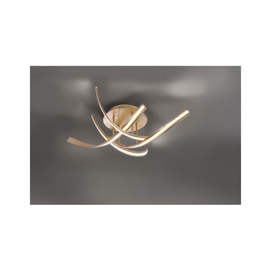 Paul Neuhaus 6474-12 - Lámpara de techo LED regulable LINDA 4xLED/7W/230V