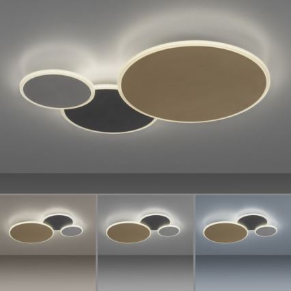 Paul Neuhaus 8007-70 - Plafón LED regulable Q-PIATO LED/35W/230V 2700-5000K Wi-Fi + control remoto