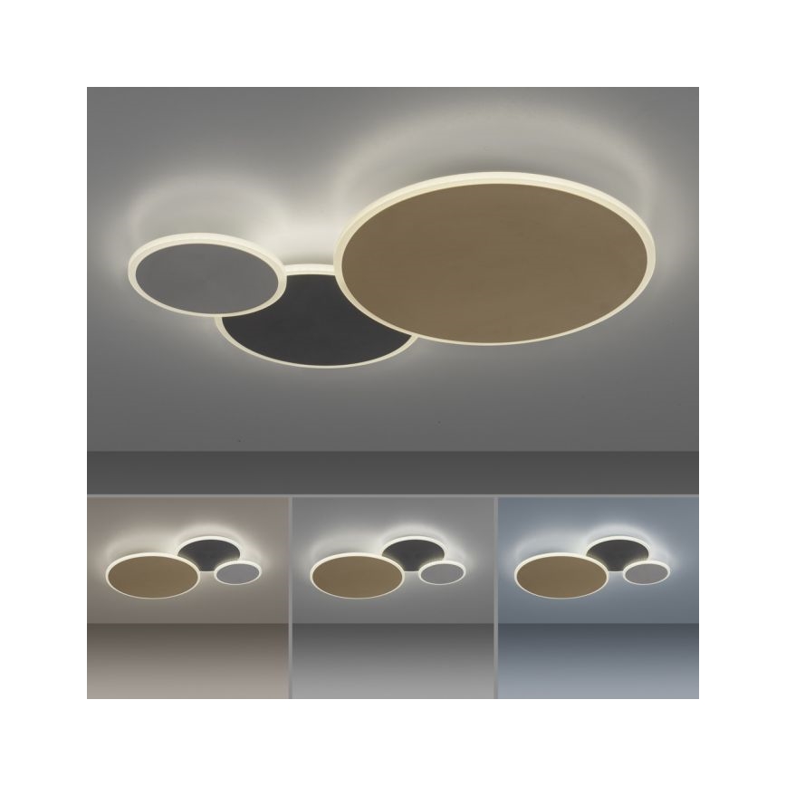 Paul Neuhaus 8007-70 - Plafón LED regulable Q-PIATO LED/35W/230V 2700-5000K Wi-Fi + control remoto