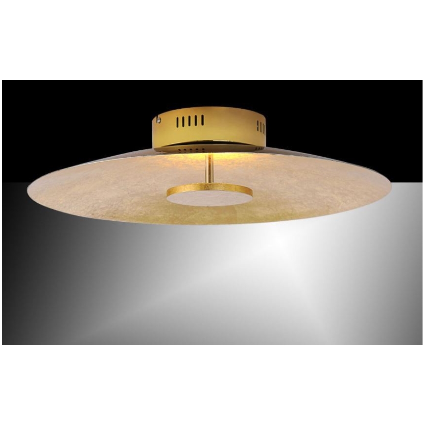 Paul Neuhaus 8132-12 - Plafón LED regulable PLATE LED/25W/230V