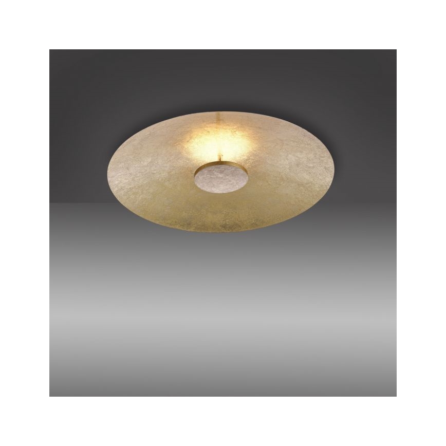 Paul Neuhaus 8132-12 - Plafón LED regulable PLATE LED/25W/230V