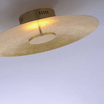 Paul Neuhaus 8132-12 - Plafón LED regulable PLATE LED/25W/230V