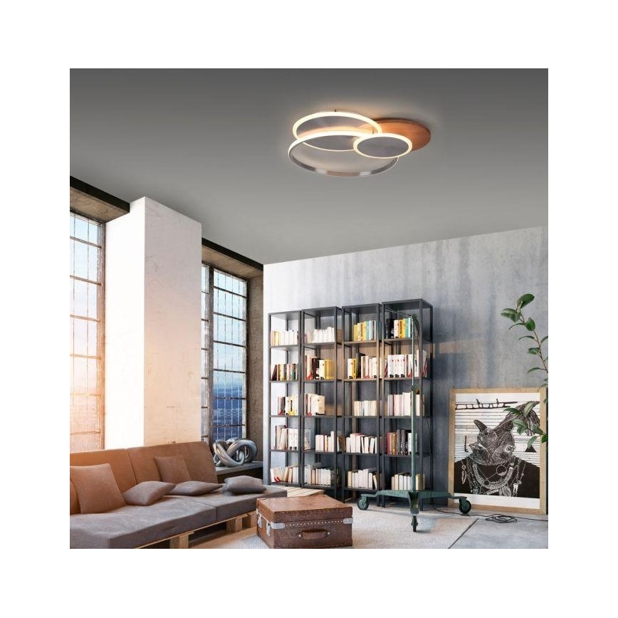 Paul Neuhaus 8328-79 - Plafón LED regulable PALMA LED/50W/230V 2700-5000K pino + control remoto