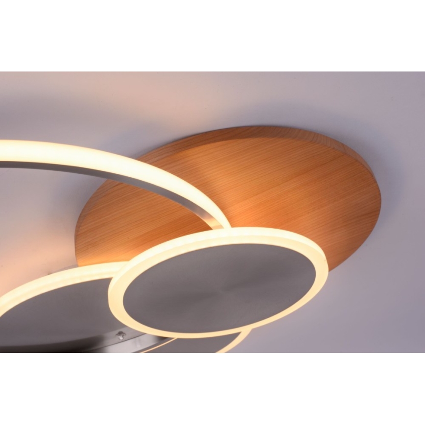 Paul Neuhaus 8328-79 - Plafón LED regulable PALMA LED/50W/230V 2700-5000K pino + control remoto