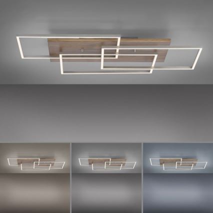 Paul Neuhaus 8330-79 - Lámpara de techo LED regulable PALMA 3xLED/12W/230V pino + control remoto