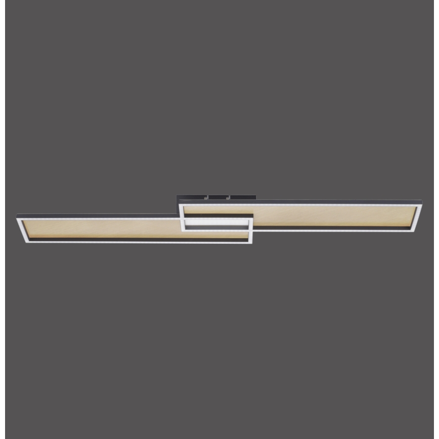 Paul Neuhaus 8371-18 - Lámpara de Techo Regulable LED LED/40W/230V + Mando a distancia