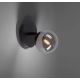Paul Neuhaus 9013-18 - Foco LED de pared WIDOW 1xG9/3W/230V