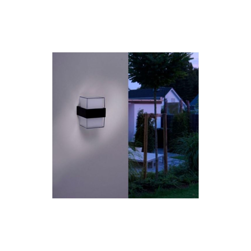 Paul Neuhaus 9480-13 - Aplique LED de exterior CARA LED/8W/230V IP44