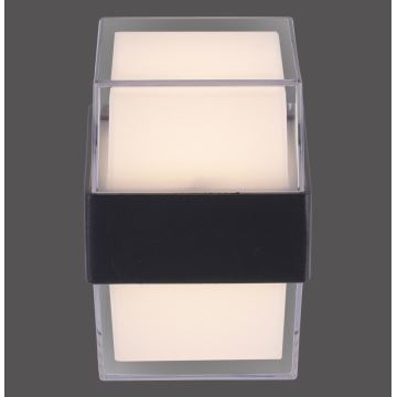 Paul Neuhaus 9480-13 - Aplique LED de exterior CARA LED/8W/230V IP44