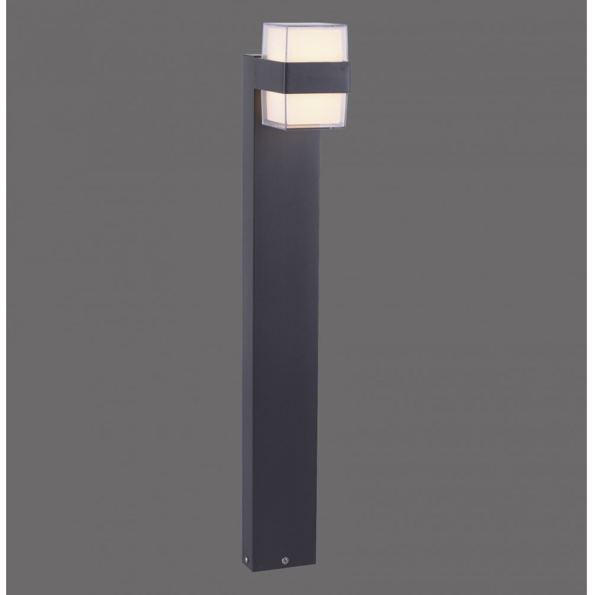 Paul Neuhaus 9481-13 - Lámpara LED de exterior CARA LED/8W/230V IP44