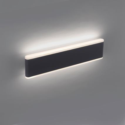 Paul Neuhaus 9484-13 - Aplique de exterior LED regulable ELSA 2xLED/9W/230V IP65