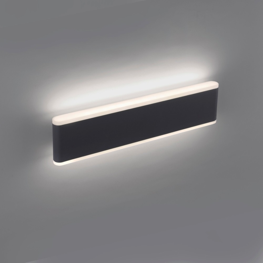 Paul Neuhaus 9484-13 - Aplique de exterior LED regulable ELSA 2xLED/9W/230V IP65