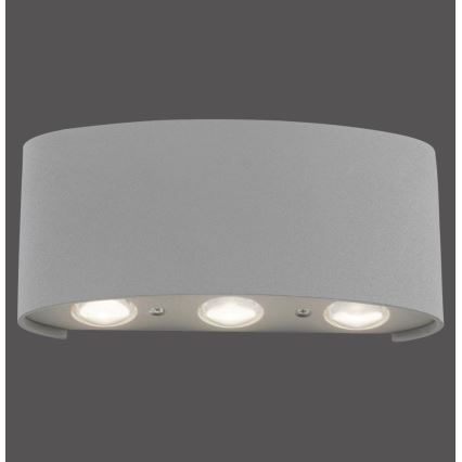 Paul Neuhaus 9488-21 - Aplique de exterior LED CARLO 6xLED/0,8W/230V IP54