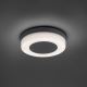 Paul Neuhaus 9490-13 - Lámpara LED para exteriores FABIAN LED/12,6W/230V IP54