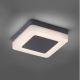 Paul Neuhaus 9491-13 - Lámpara LED para exteriores FABIAN LED/12,6W/230V IP54