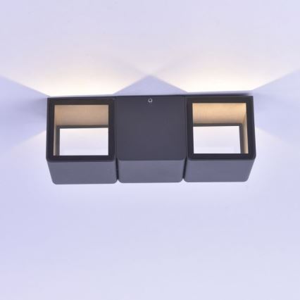 Paul Neuhaus 9658-13 - Aplique LED para exterior MARCEL 2xLED/4W/230V IP54
