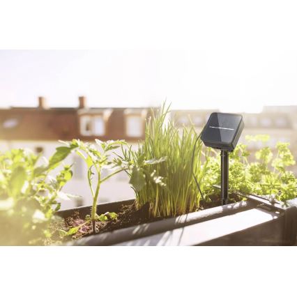 Paulmann 78896 - LED/0,3W IP44 Tira solar 3m 1,2V 1000 mAh