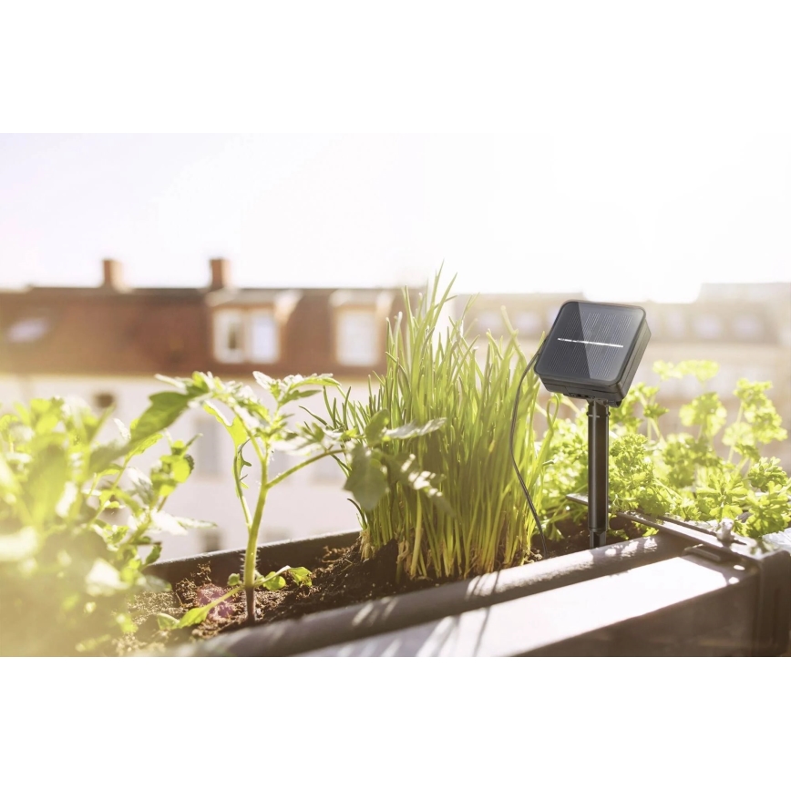 Paulmann 78896 - LED/0,3W IP44 Tira solar 3m 1,2V 1000 mAh