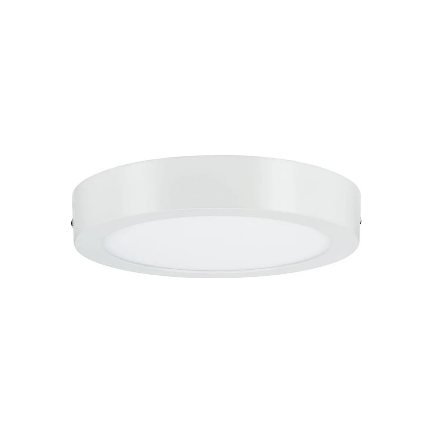 Paulmann 79795 - LED/13W Lámpara de techo CARPO 230V 2300/2500/3000K
