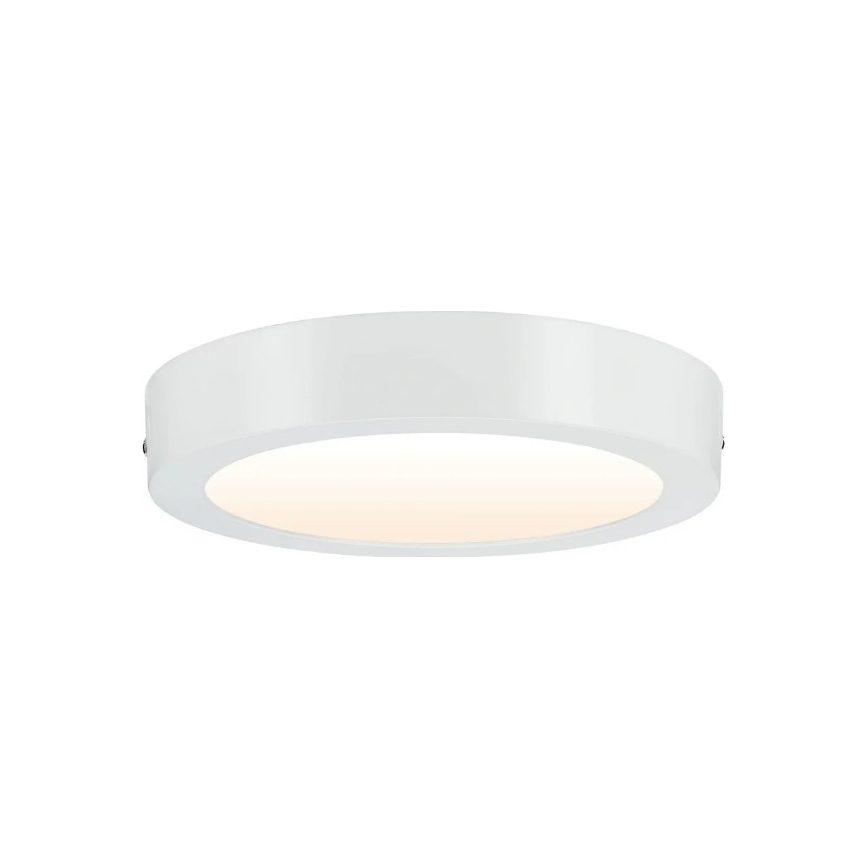 Paulmann 79795 - LED/13W Lámpara de techo CARPO 230V 2300/2500/3000K