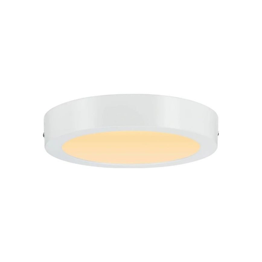 Paulmann 79795 - LED/13W Lámpara de techo CARPO 230V 2300/2500/3000K