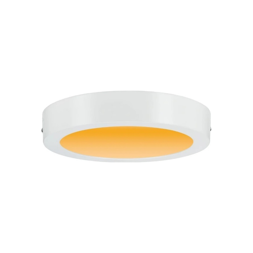 Paulmann 79795 - LED/13W Lámpara de techo CARPO 230V 2300/2500/3000K