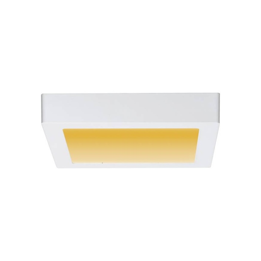 Paulmann 79796 - Plafón LED/13W CARPO 230V 2300-3000K