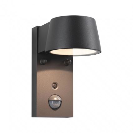 Paulmann 94714 - LED/6W IP44 Aplique para exterior con sensor CAPERA 230V 2200/3000K