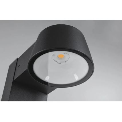 Paulmann 94715 - LED/6W IP44 Lámpara de exterior CAPERA 230V