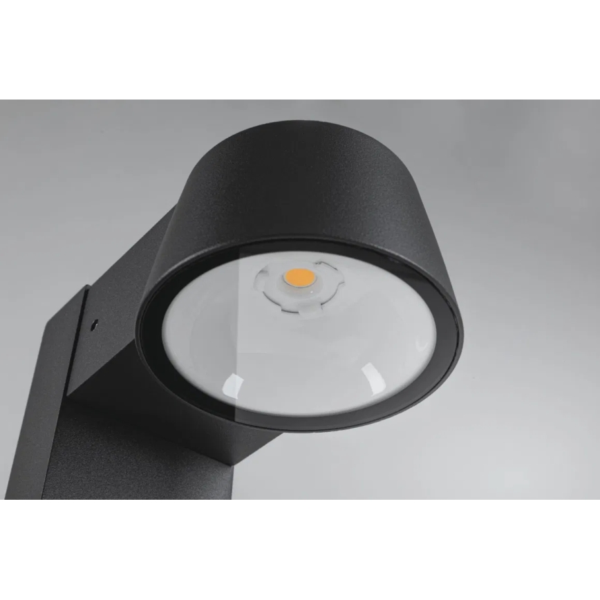 Paulmann 94715 - LED/6W IP44 Lámpara de exterior CAPERA 230V