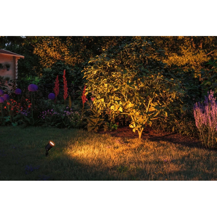 Paulmann 94731 - LED/4,3W IP65 Lámpara de exterior SPOT 230V