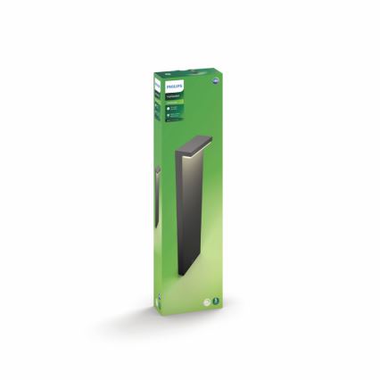 Philips 16486/93/P0 - Baliza LED exterior MYGARDEN BUSTAN 2xLED/4,5W