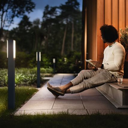 Philips - LED Lámpara exterior 2xLED/4,5W/230V IP44