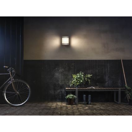 Philips 17273/47/16 - Aplique LED exterior MYGARDEN RACCOON LED/3W