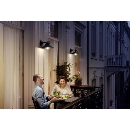 Philips 17381/30/PN - Aplique de exterior COMORANT 1xE27/42W/230V IP44