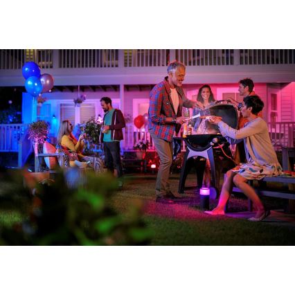 Philips 17415/30/P7 - LED RGB Foco exterior HUE LILY LED/8W/230V IP65