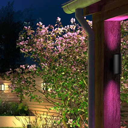 Philips - LED RGB Lámpara de exterior Hue APPEAR 2xLED/8W/230V IP44