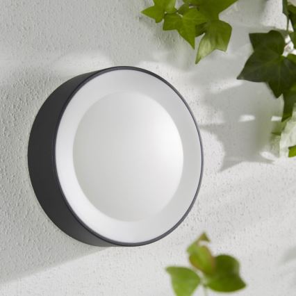 Philips - LED RGBW Aplique de exterior regulable Hue DAYLO LED/15W/230V 2000-6500K IP44