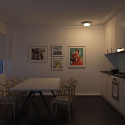 Philips 30854/38/16 - Plafón MYLIVING MIDWAY 1xE27/20W/230V
