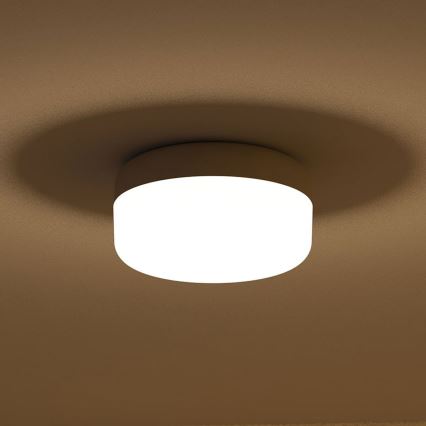 Philips 30854/38/16 - Plafón MYLIVING MIDWAY 1xE27/20W/230V