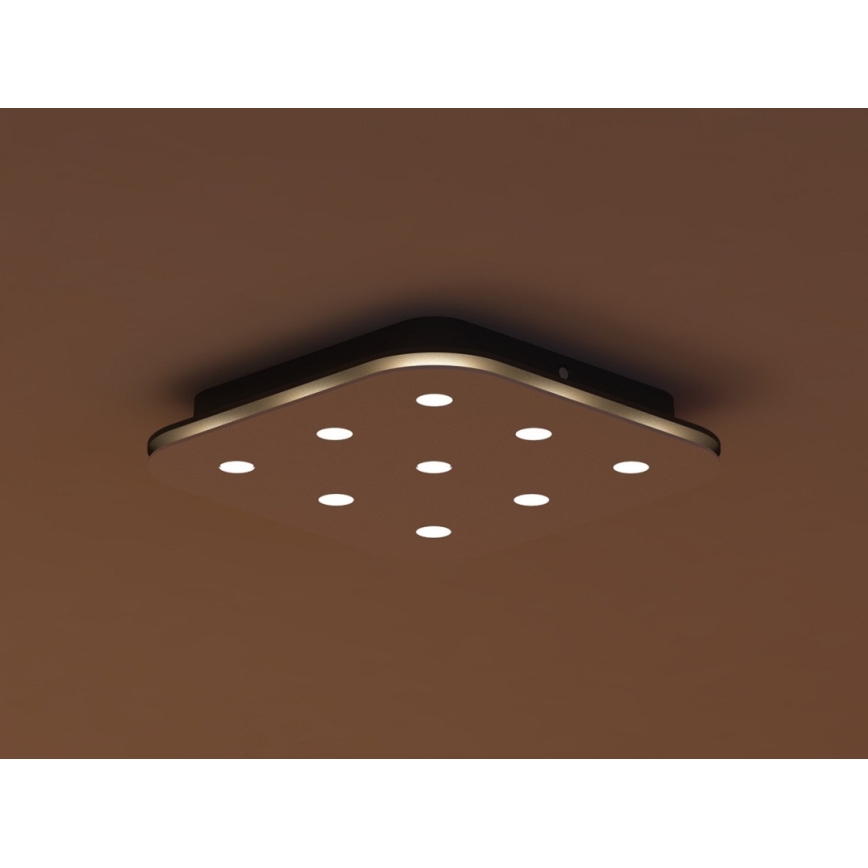 Philips 32157/31/16 - Plafón LED MYLIVING STYLA 9xLED/2,5W/230V