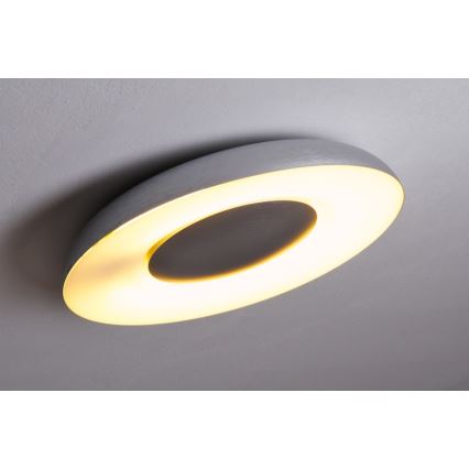 Philips 32613/48/16 - Plafón MYLIVING STILL 1x2GX13/40W/230V