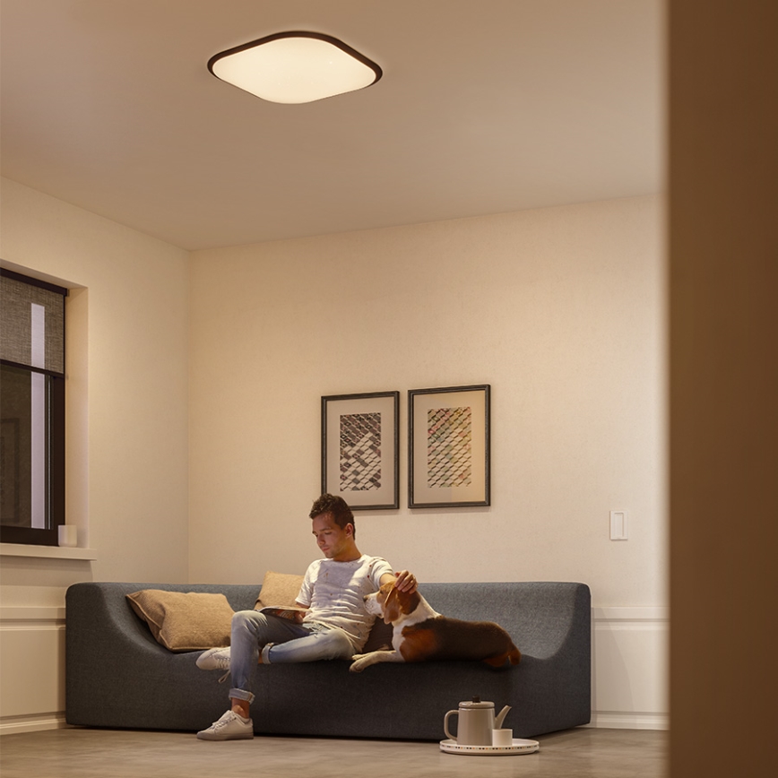 Philips 32810/31/P0 - Plafón LED regulable CANAVAL LED/18W/230V