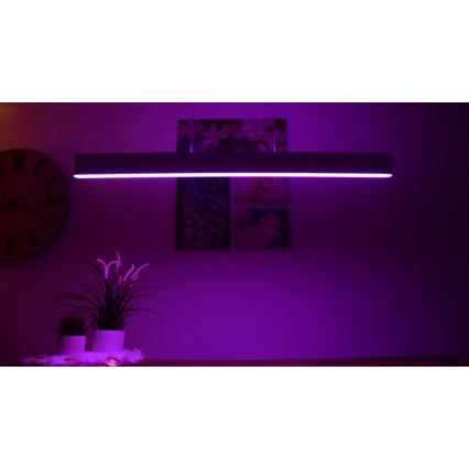 Philips - LED Lámpara colgante Hue ENSIS 2xLED/39W/230V